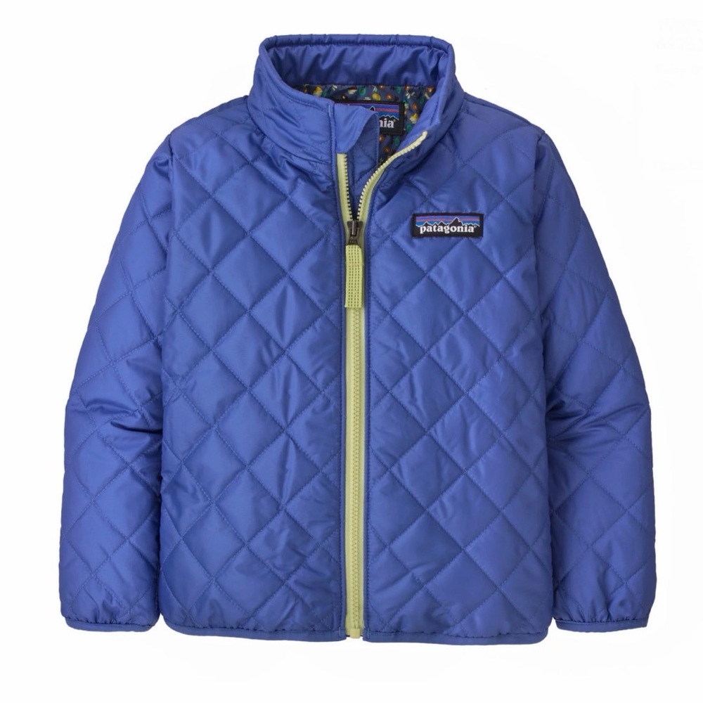 Patagonia Nano Puff Jacket (2T)